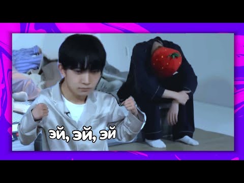 Видео: энхайпен дуреют от этой прикормки (злого оппы)