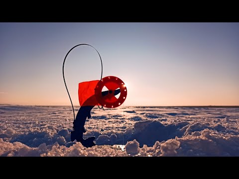 Видео: река Ишим.Леска в руках трещит.Рыбалка на жерлицы в глухозимье.