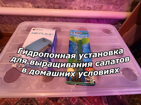 Видео: Простейшая гидропонная установка для выращивания салатов в домашних условиях
