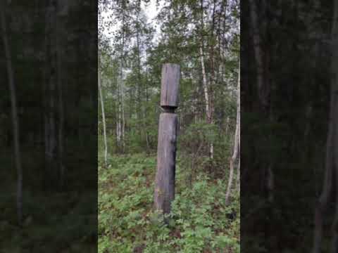 Видео: төрөөбүт дойдубар тапталым Рафаэль Баҕатаайыскай тыл.