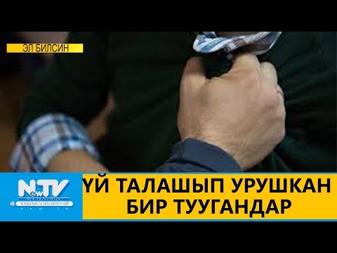 Видео: ҮЙ ТАЛАШЫП УРУШКАН БИР ТУУГАНДАР\\ЭЛ БИЛСИН