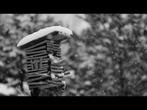 Видео: Бесплатный лирический бит | Бесплатный андеграунд минус | Бит для рэпа