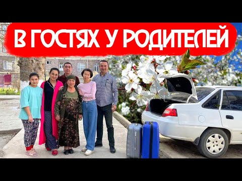 Видео: В ГОСТИ К РОДИТЕЛЯМ | ПРОГУЛКА ПО КАРШИ