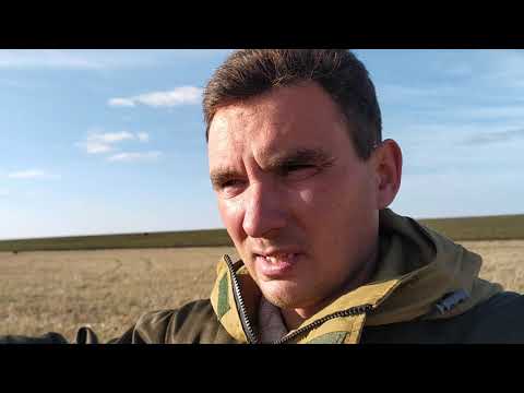 Видео: Инбридинг у лошадей .