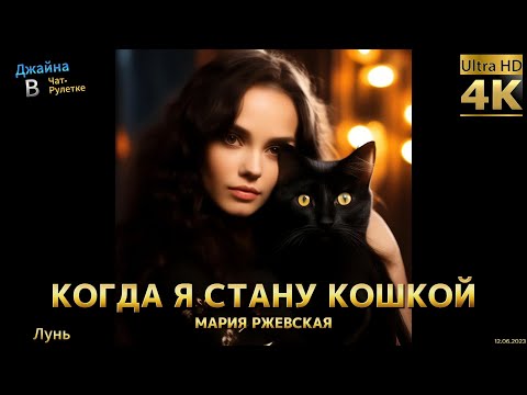 Видео: Мария Ржевская - Когда я стану кошкой. 4К видео. Джайна. Девушка танцует в чатрулетке