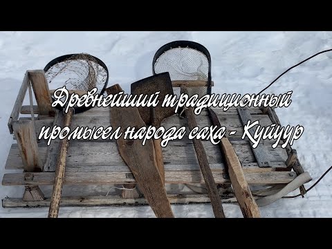 Видео: Куйуур - традиционная рыбалка народа саха