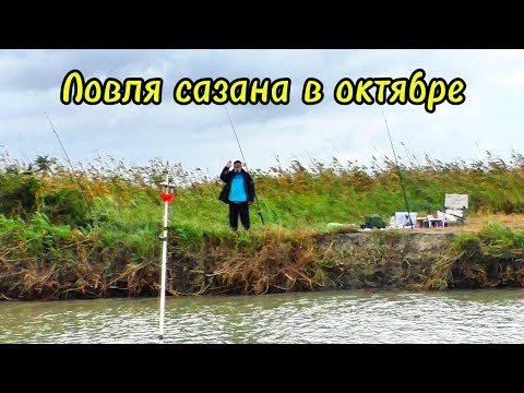 Видео: Ловля сазана в октябре.