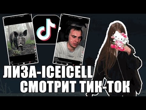 Видео: ЛИЗА-ICEICELL ДУРЕЕТ С ЭТИХ ТИК-ТОКОВ