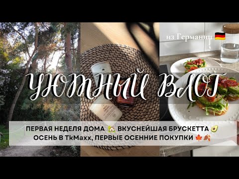 Видео: УЮТНЫЙ ВЛОГ☕ ПЕРВЫЕ ОСЕННИЕ ПОКУПКИ 🍂🍁ГОТОВИМ БРУСКЕТТУ🥖🍅НЕДЕЛЯ ДОМА🏡