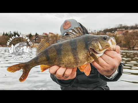 Видео: УЛЬОТНА РОЗДАЧА! Окунь та щука атакують Upstream Sugar & Fusion! ЧАСТИНА 1