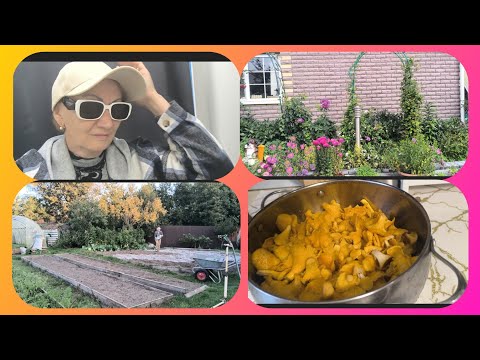 Видео: Жизнь в деревне Дела,дела! Лунное затмение 🌒 Нижегородская область.