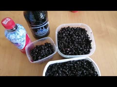 Видео: СИРОП и ИЗЮМ из ЧЕРНОПЛОДКИ !!!