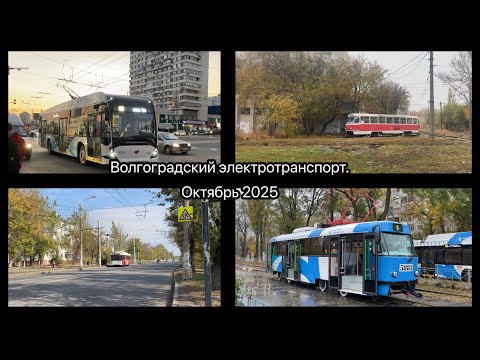 Видео: Волгоградский электротранспорт. Октябрь 2025