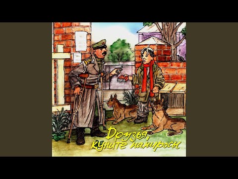 Видео: Я Мишу встретила на клубной вечериночке