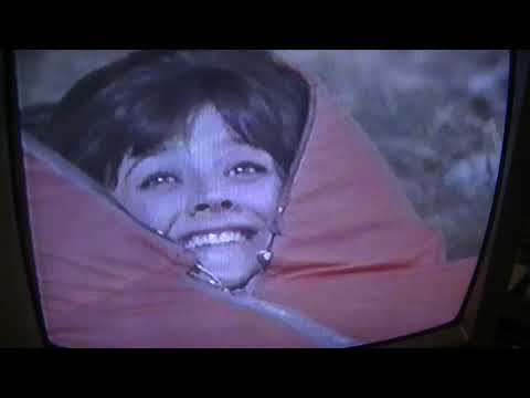 Видео: ОБЗОР ВИДЕОКАССЕТ VHS С МАРКУСОМ И ВИКИНГОМ ИЗ СКАНДИНАВИЙ. СМОТРИМ ШРЕК, МУЛЬТИКИ И ВИДЕОКЛИПЫ!