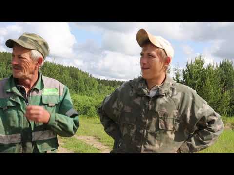 Видео: Кологривский тупик - посёлок Колохта 08.06.23