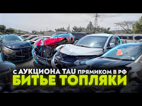 Видео: АУКЦИОН TAU РАЙ ДЛЯ ПЕРЕКУПОВ БИТЬЯ ТОПЯЛКИ ! ПРЯМЫЕ ПОСТАВКИ НА ЗЕЛЕНЫЙ УГОЛ !