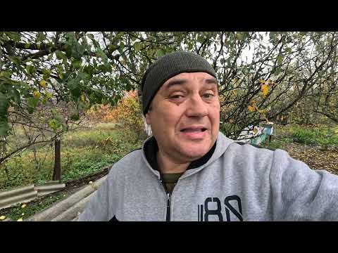 Видео: ✅ Матку не приняли, а почему..?! Замена маток в Ноябре! #пчеловодство1