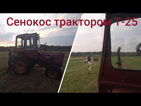 Видео: Первый сенокос трактором Т-25