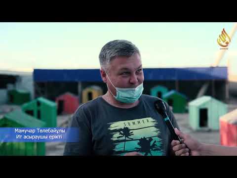 Видео: МЕЙІРІМДІЛІК - АСЫЛ ҚАСИЕТ