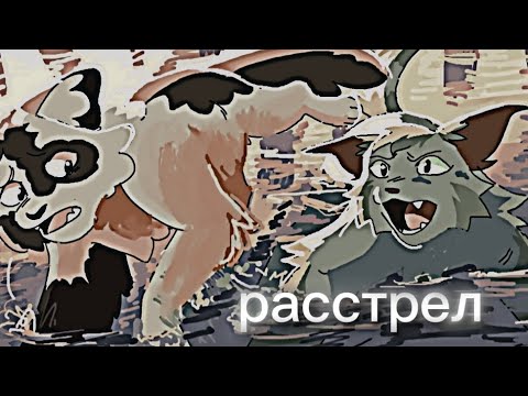Видео: Коты воители фиалка и иглохвостая Клип расстрел (Алёна швец) 