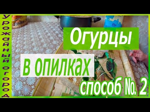 Видео: СЕЕМ ОГУРЦЫ В ОПИЛКИ!!!ОТЛИЧНЫЙ СПОСОБ №2