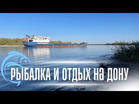 Видео: РЫБАЛКА И ОТДЫХ НА БЕРЕГУ ДОНА. ЛОВЛЯ ФИДЕРОМ НА РЕКЕ. ОТЛИЧНАЯ КОМПАНИЯ.