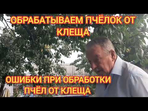 Видео: Обработка пчёл от клеща.
