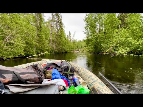 Видео: ✅ РЕКА #2 SOLAR SJT Exp + ВОДОМЁТ TOHATSU 50 НА УЗКОЙ ЛЕСНОЙ РЕЧКЕ🔥🚀 ОТ ПЕРВОГО ЛИЦА #Рыболов_Севера