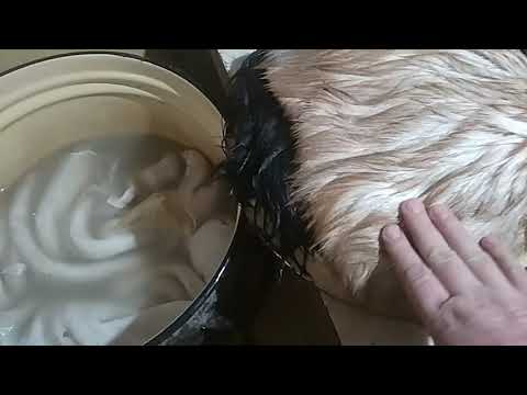 Видео: Проект "4 шкуры" или Вычинка козьих шкур, часть 2: пролежка, дубление.