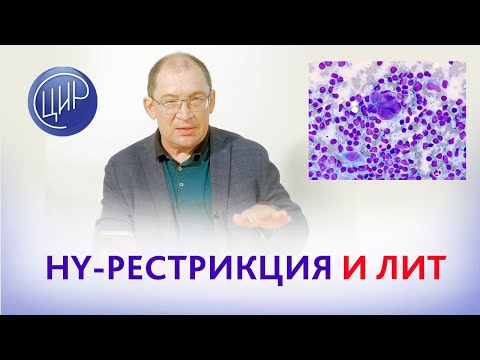 Видео: Вторичное бесплодие, HY-рестрикция и ЛИТ (лимфоцитоиммунотерапия). Как забеременеть и выносить?