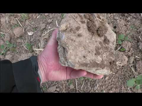 Видео: КВАРЦЕВАЯ  ЖИЛА