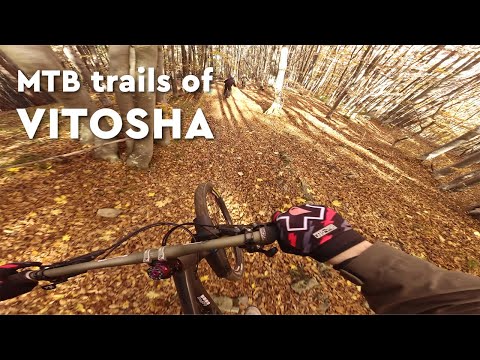 Видео: VITOSHA: Есенен MSM от старта до Драгалевци