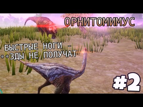 Видео: [The Cursed Isle] - Пробежка Орнитомимуса #2