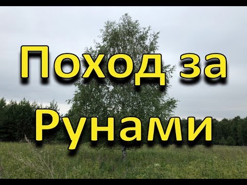Видео: Как выбрать дерево для рун. В поход за руническими заготовками.