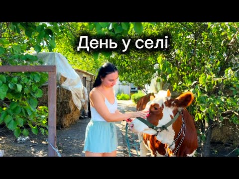 Видео: ПІДРІЗАЄМО КОПИТА,СТАВИМО КРАПЕЛЬНИЦЮ КОРОВІ🐮