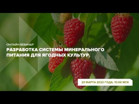 Видео: Онлайн-вебинар "Разработка системы минерального питания для ягодных культур"