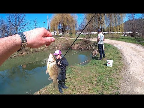 Видео: РЫБАЛКА 2018 УЛОВ 40 ШТУК. ЗАКАРПАТЬЕ. БРИГАДА.