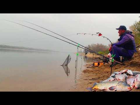 Видео: ДИКІ САЗАНИ УТЯГУЮТЬ УДОЧКИ. Рибалка на донки осіннім ранком
