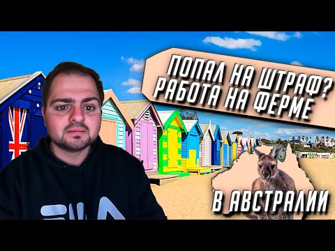 Видео: Ферма в Австралии | Попал на Штраф? | Получаю права | Жизнь в Австралии