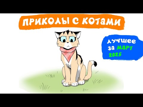 Видео: Приколы с котами. ЛУЧШЕЕ ЗА МАРТ 2025 | Мемозг