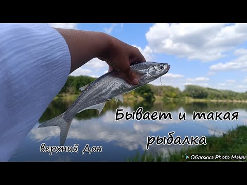 Видео: Бывает и такая рыбалка. Верхний Дон Комфорт на природе. август 2025 год