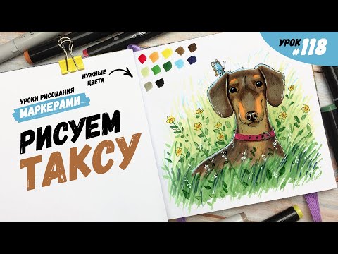 Видео: Как нарисовать таксу? / Видео-урок по рисованию маркерами #118
