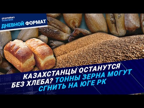 Видео: Казахстанцы останутся без хлеба? Тонны зерна могут сгнить на юге РК | Дневной формат | 26.09.24