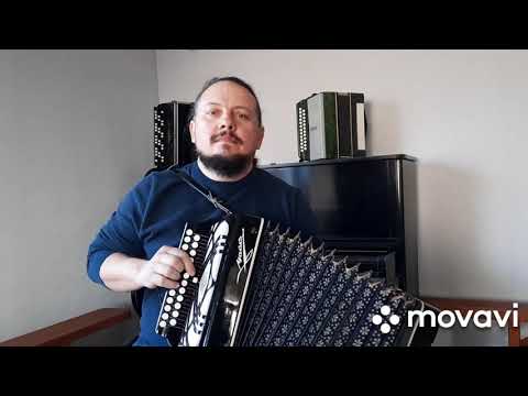 Видео: "Через две зимы, через две весны..." (кавер на гармони).