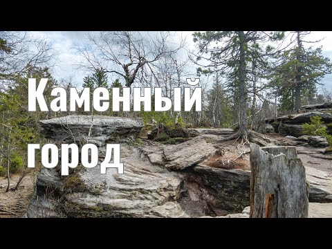 Видео: Каменный город