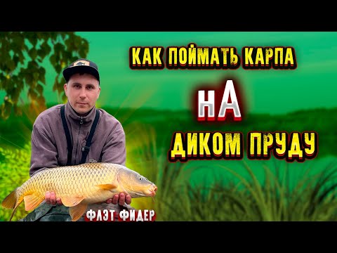 Видео: Рыбалка на карпа на дикаре Рыбалка на ФЛЭТ фидер