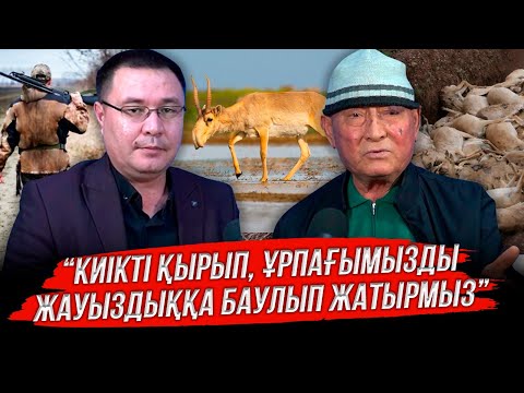 Видео: "Киіктің саны көбейіп кетті" деген сөздің бәрі сылтау ғана...