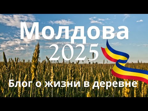 Видео: #Молдова #Блог Один день из жизни в деревне 