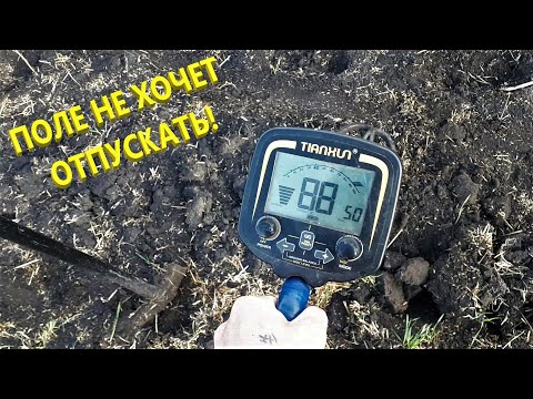 Видео: Добиваем поле перед закрытием сезона! Коп с ТХ 850.